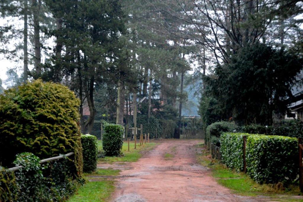 Luxe Vakantiehuis In Het Bos Overbroek Bagian luar foto