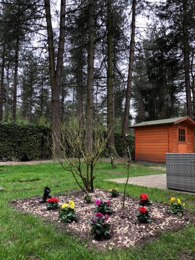 Luxe Vakantiehuis In Het Bos Overbroek Bagian luar foto